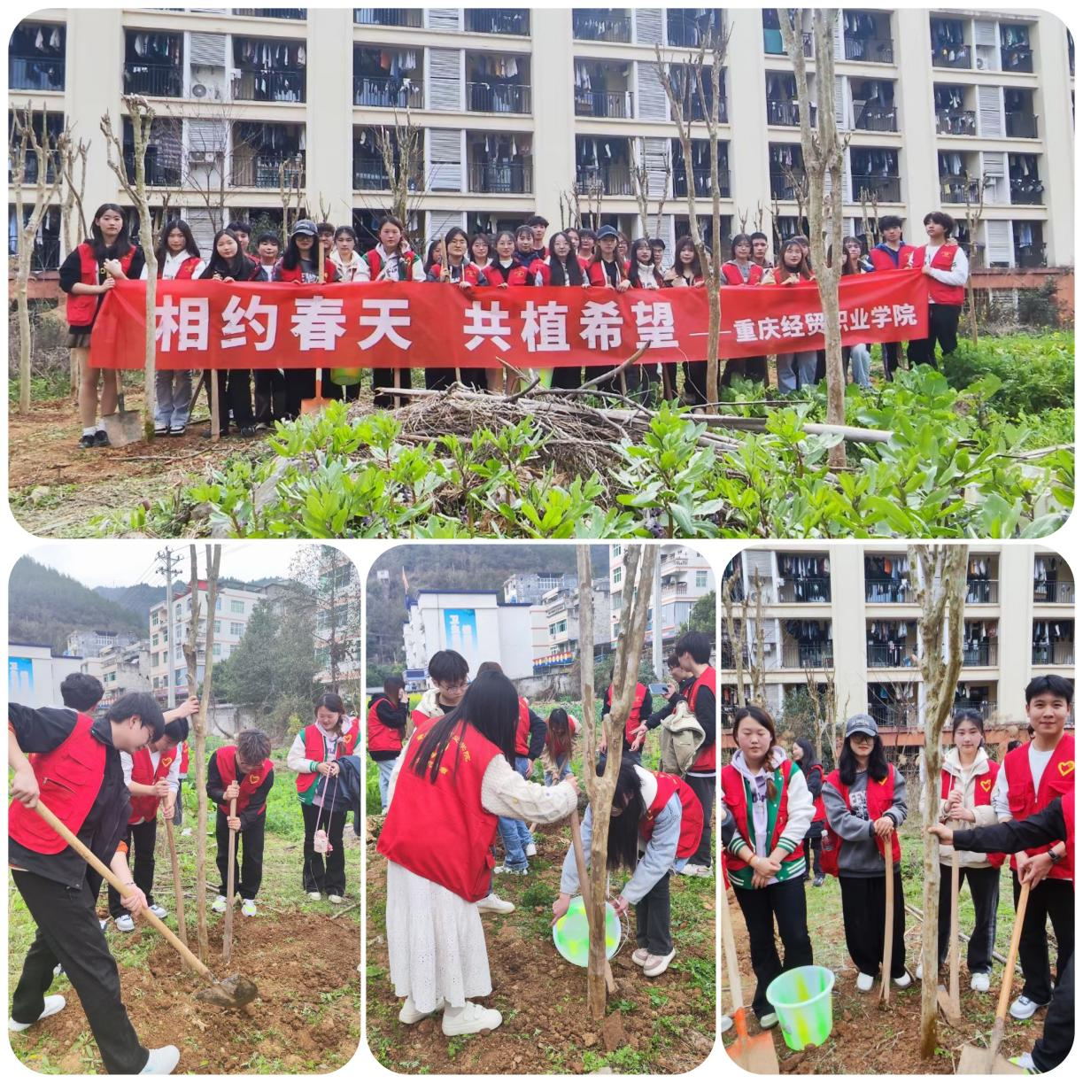 1712883787000050586.png 图片6.png