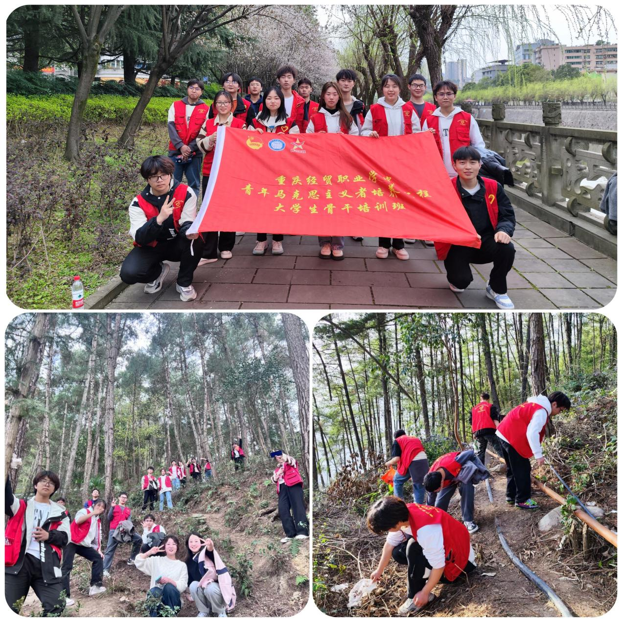 1712883831747077320.png 图片7.png